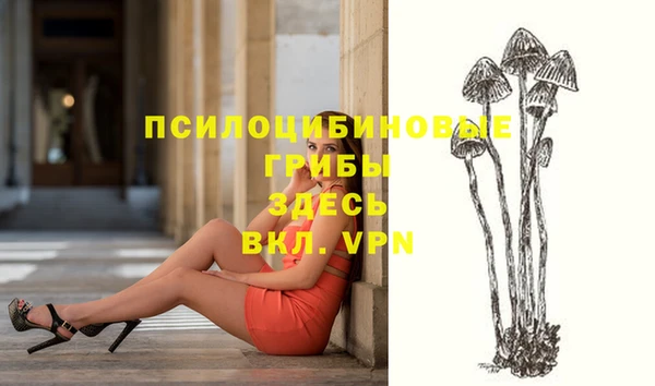 mdpv Надым