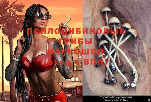 мескалин Михайлов