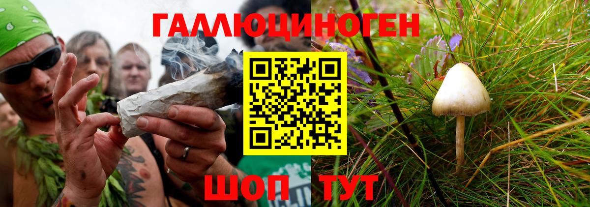 Галлюциногенные грибы прущие грибы Тюмень