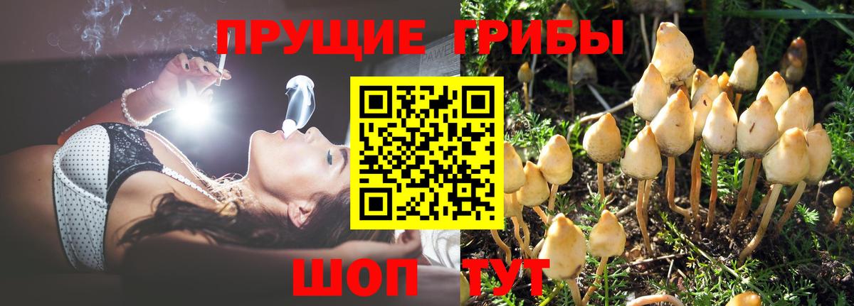 Псилоцибиновые грибы прущие грибы  Тюмень  Псилоцибиновые грибы Magic Shrooms 