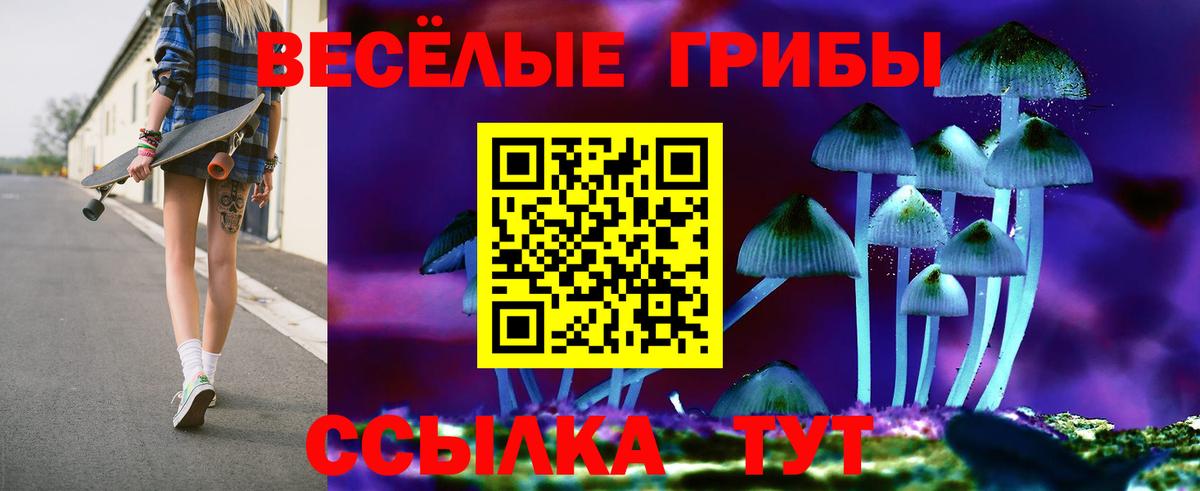 Псилоцибиновые грибы мухоморы  наркотики  Тюмень  Галлюциногенные грибы Magic Shrooms  Вход с VPN 