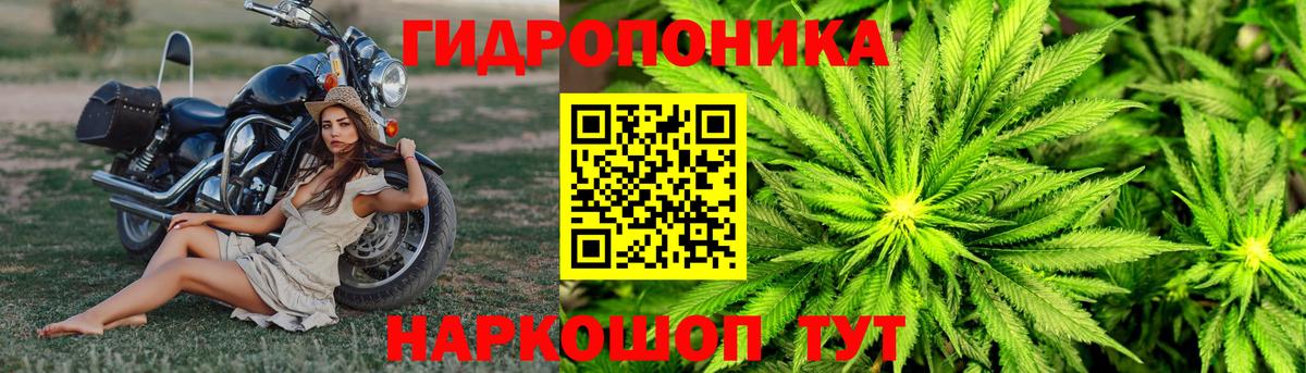 Шишки марихуана сатива  Канабис марихуана  Тюмень  Вход с VPN  Конопля индика 